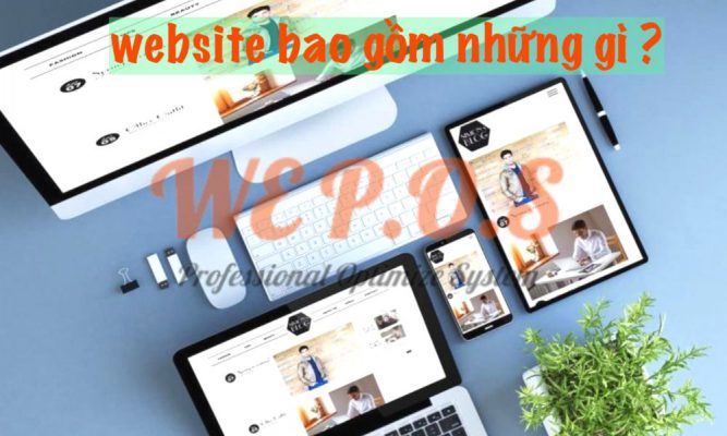 Website bao gồm những gì
